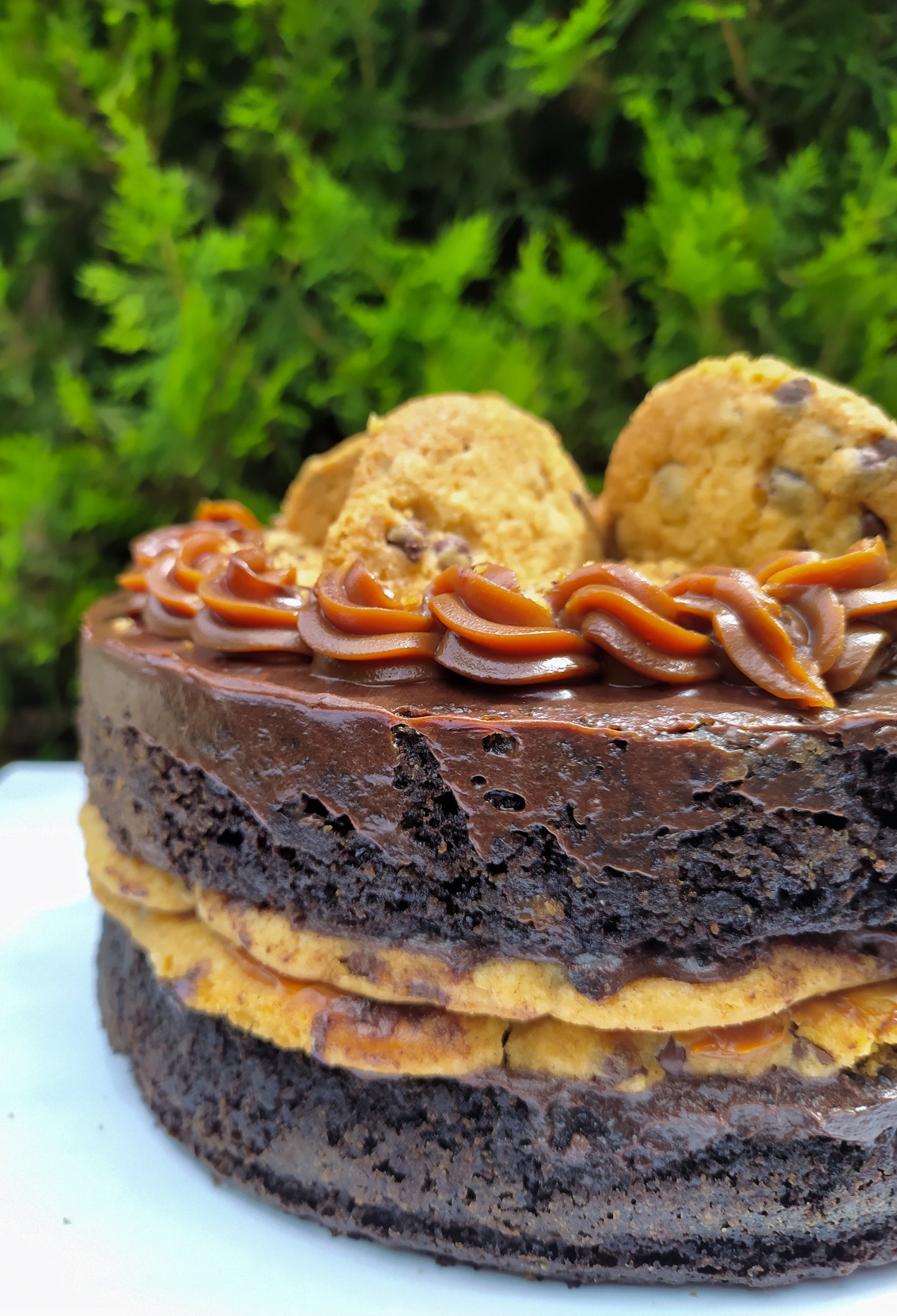 Tarta de Galleta