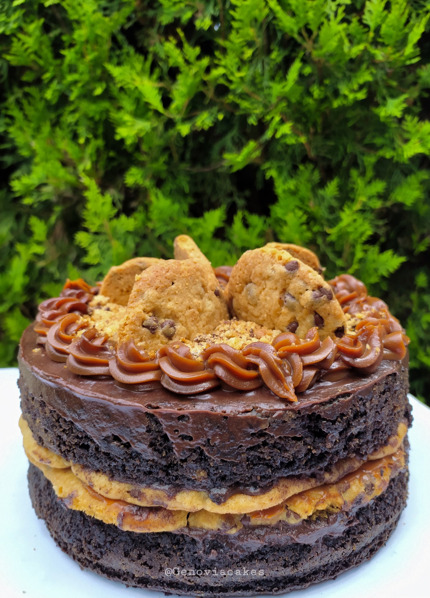 Tarta de Galleta